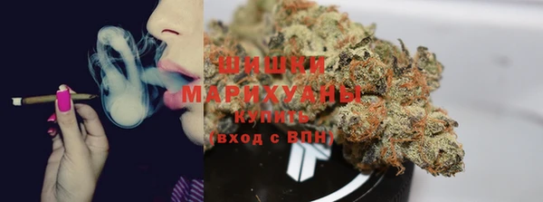 ГАЛЛЮЦИНОГЕННЫЕ ГРИБЫ Алексеевка