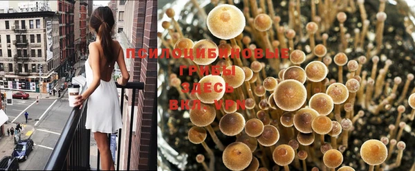 гашишное масло Алзамай