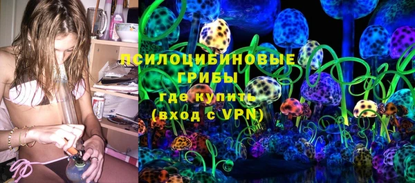 ГАЛЛЮЦИНОГЕННЫЕ ГРИБЫ Алексеевка